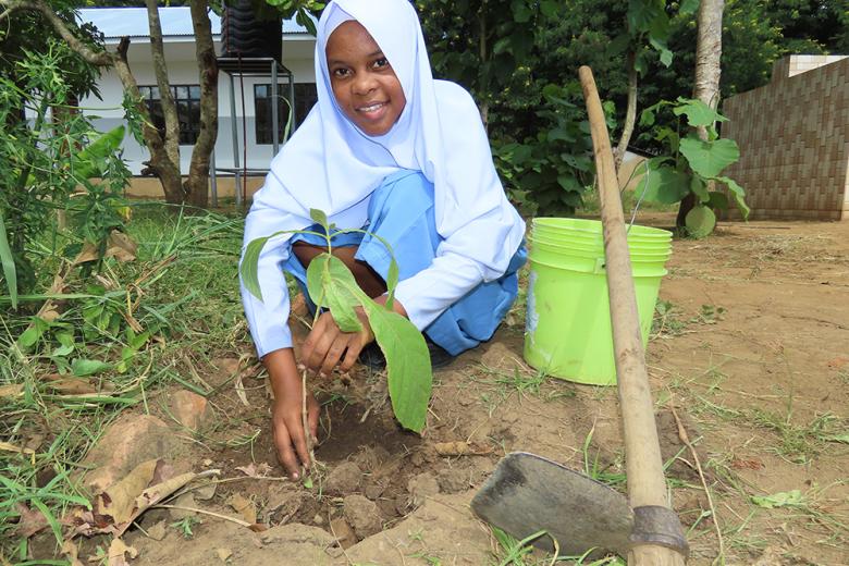 Bees, Trees and Children’s Needs